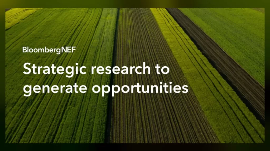 BloombergNEF görseli